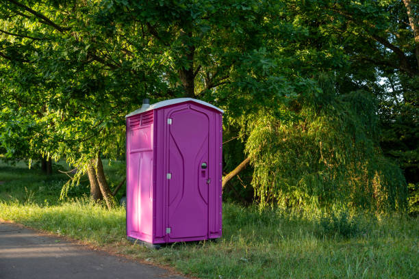 Best Sanitation services for porta potties  in Braidwood, IL